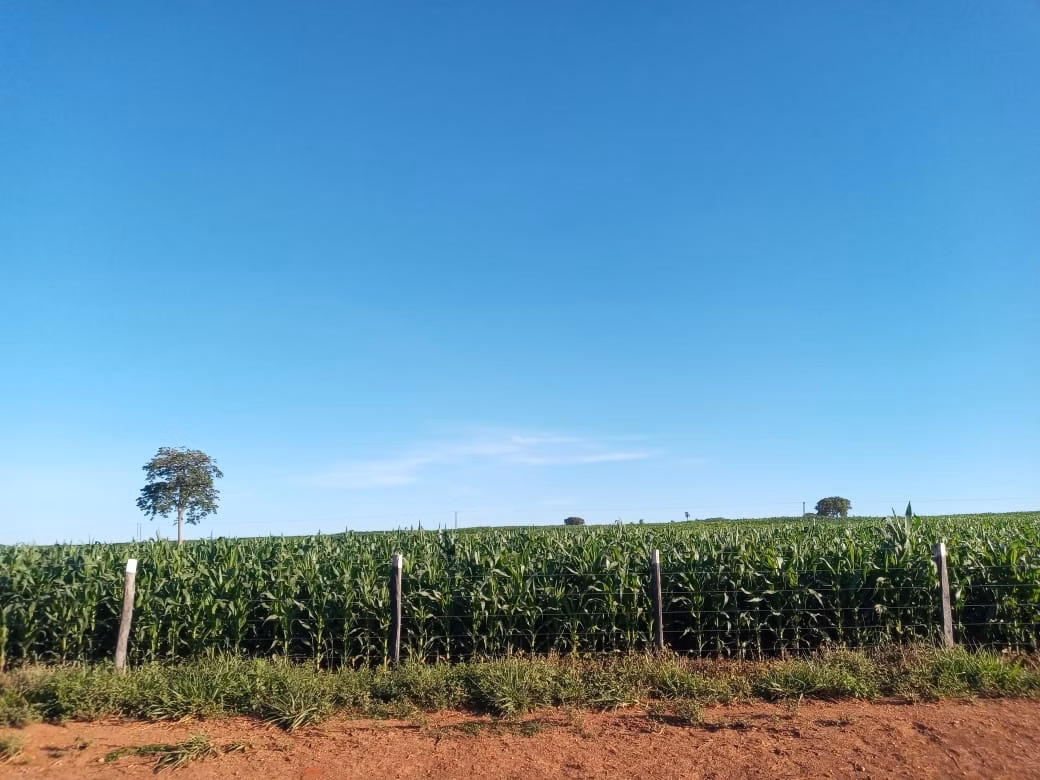 Fazenda de 2.577 ha em Campos Belos, GO