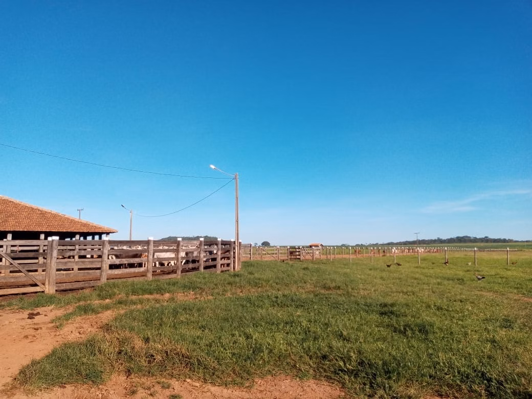 Fazenda de 2.577 ha em Campos Belos, GO