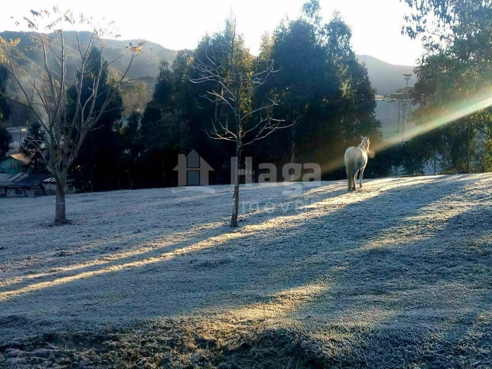 Country home of 1,617 m² in Urubici, SC, Brazil
