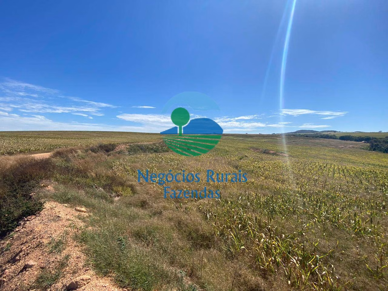 Fazenda de 556 ha em Pires do Rio, GO