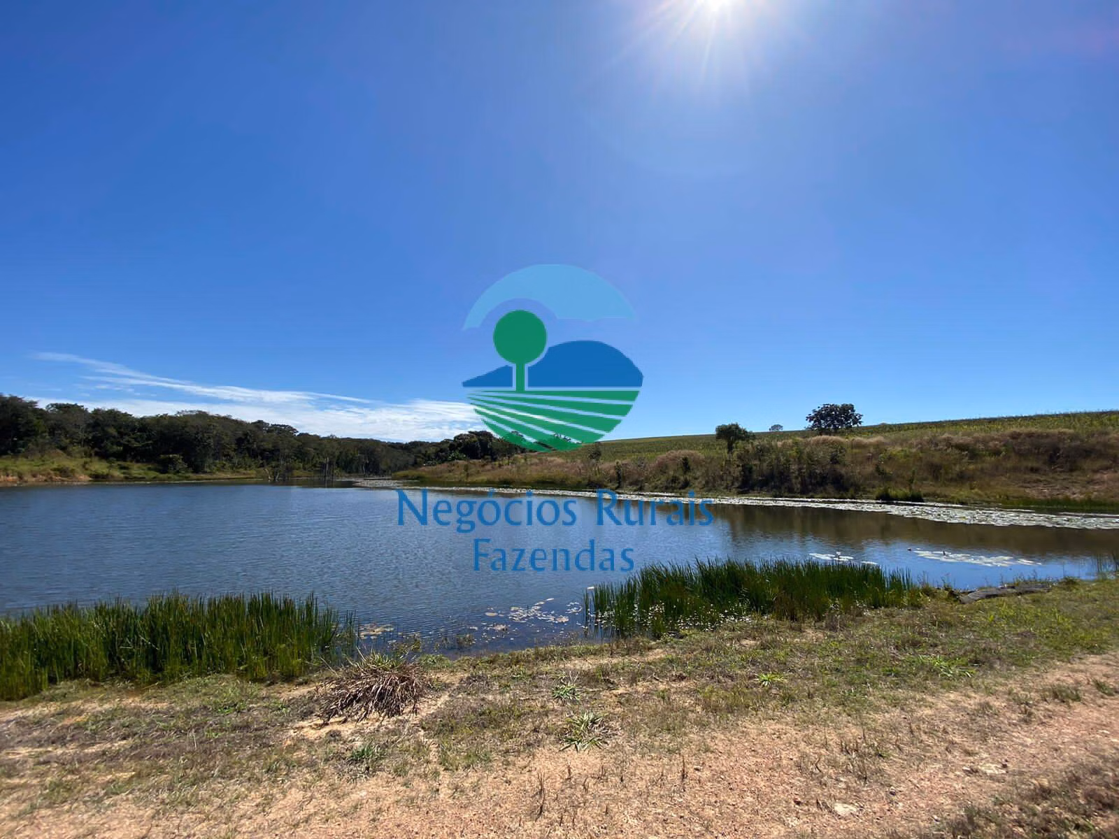 Fazenda de 556 ha em Pires do Rio, GO