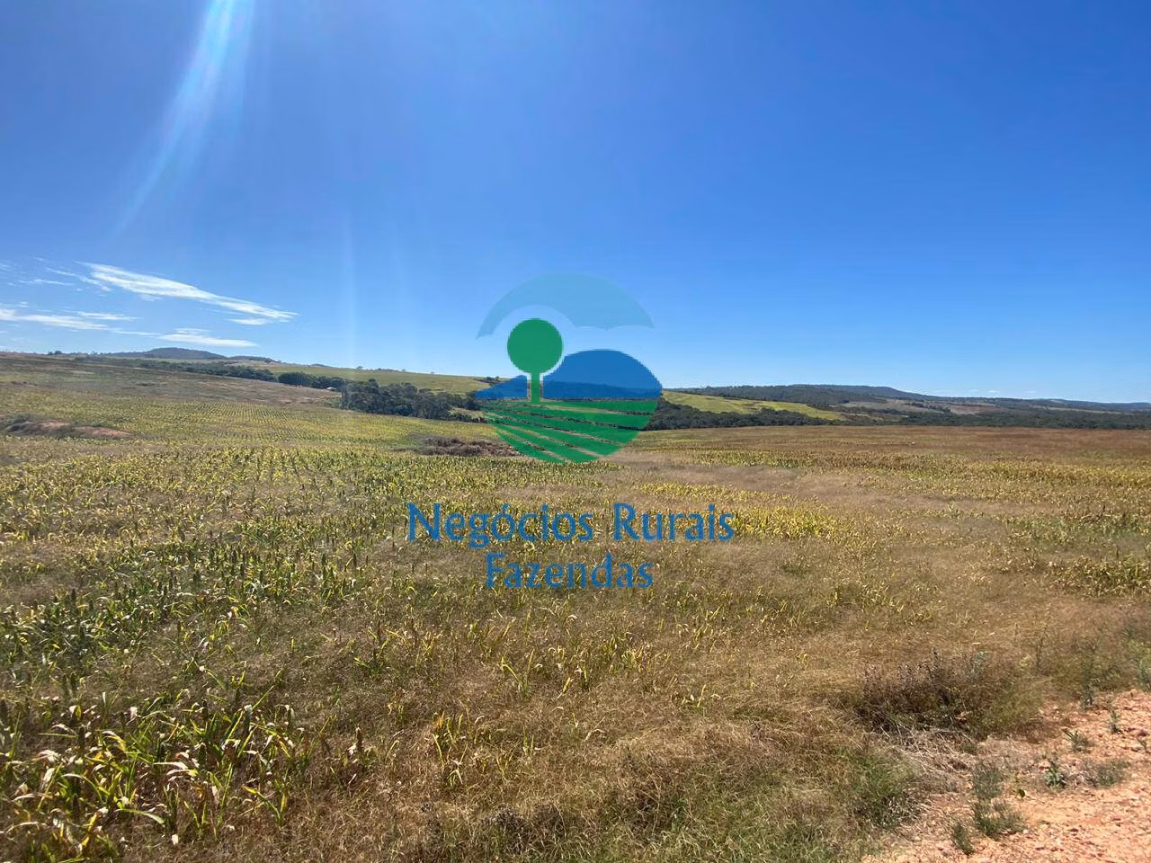 Fazenda de 556 ha em Pires do Rio, GO