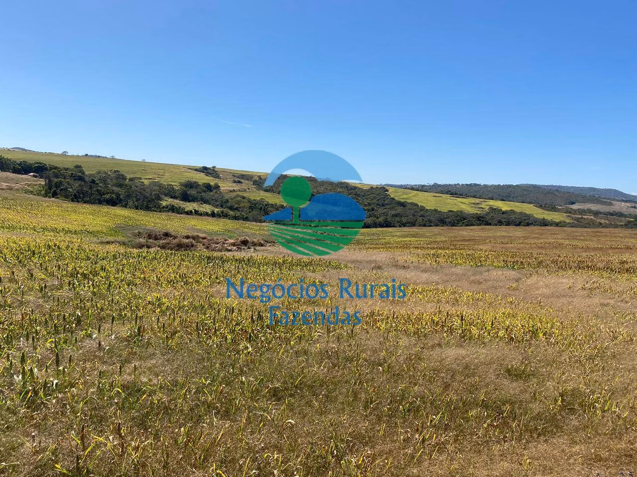 Fazenda de 556 ha em Pires do Rio, GO