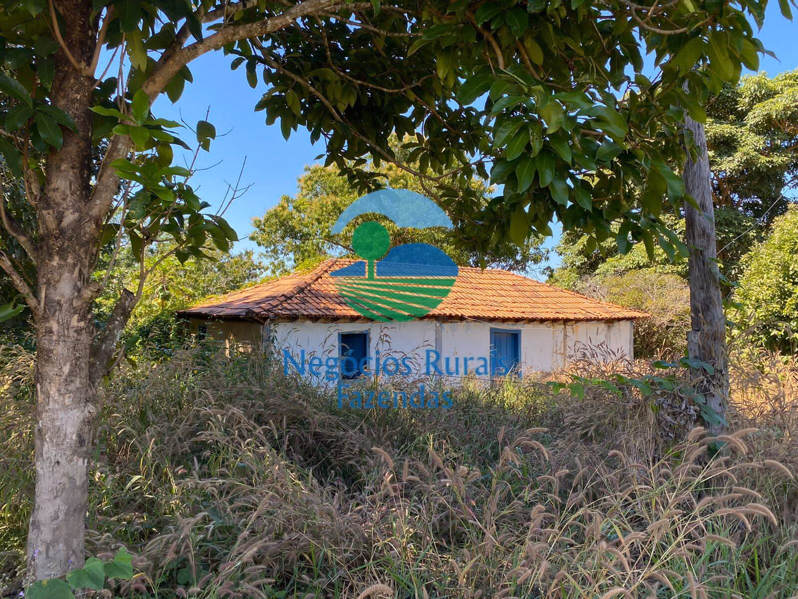 Fazenda de 556 ha em Pires do Rio, GO