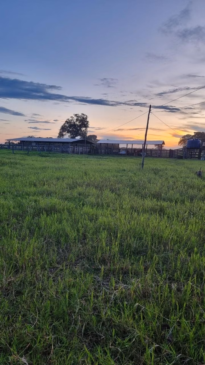 Fazenda à venda de 353 ha em Cocalinho, MT