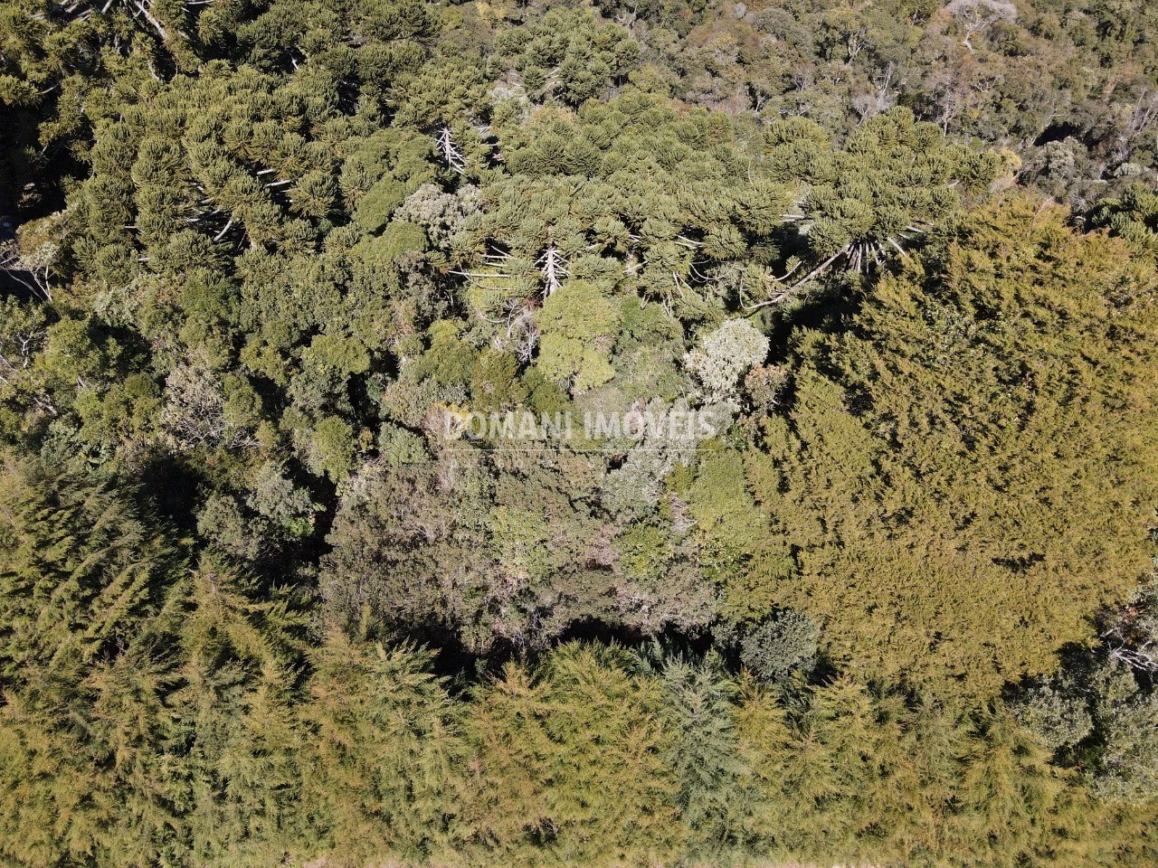 Plot of 1 acres in Campos do Jordão, SP, Brazil