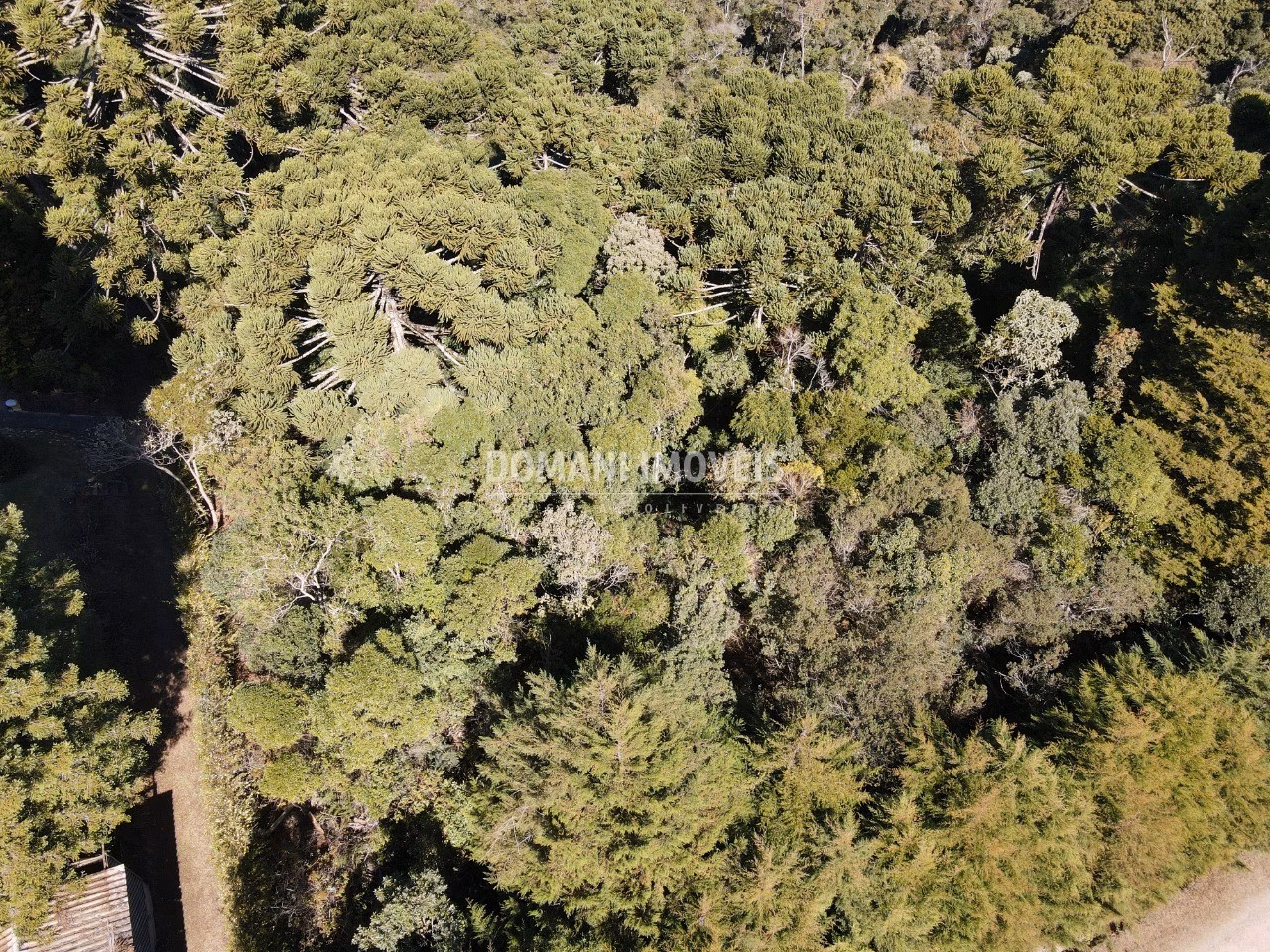 Plot of 1 acres in Campos do Jordão, SP, Brazil