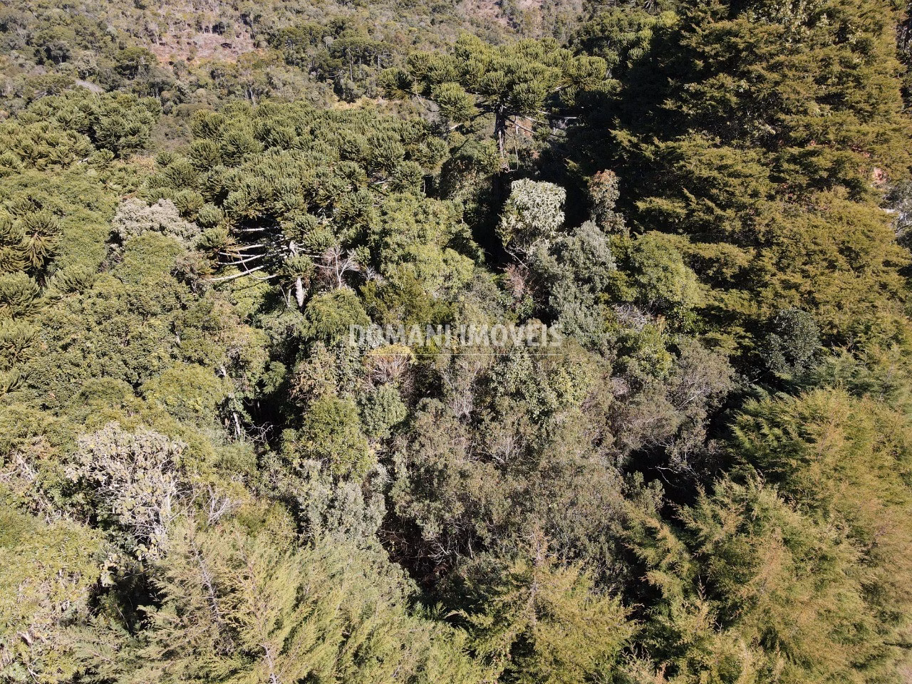 Plot of 1 acres in Campos do Jordão, SP, Brazil