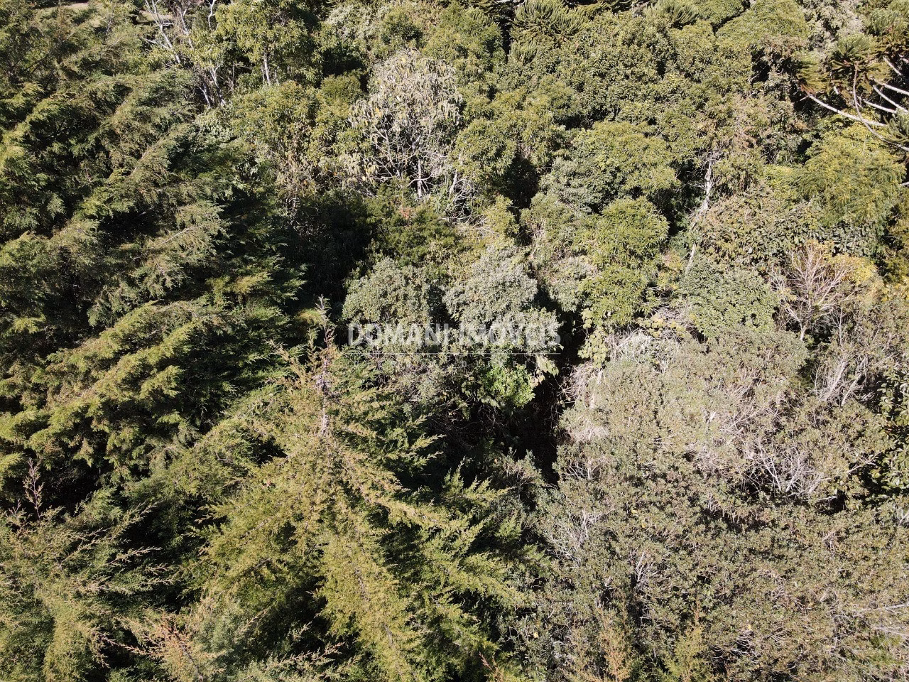Plot of 1 acres in Campos do Jordão, SP, Brazil