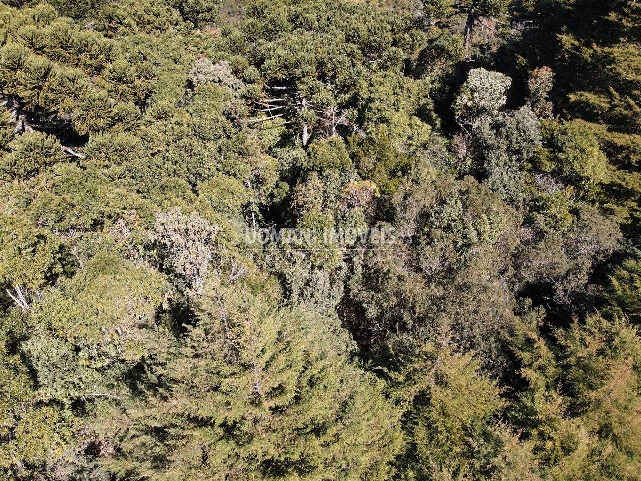 Plot of 1 acres in Campos do Jordão, SP, Brazil