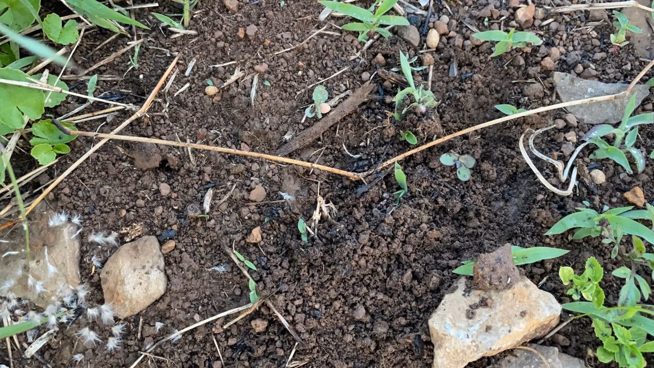 Terreno de 3.478 m² em Caraá, RS