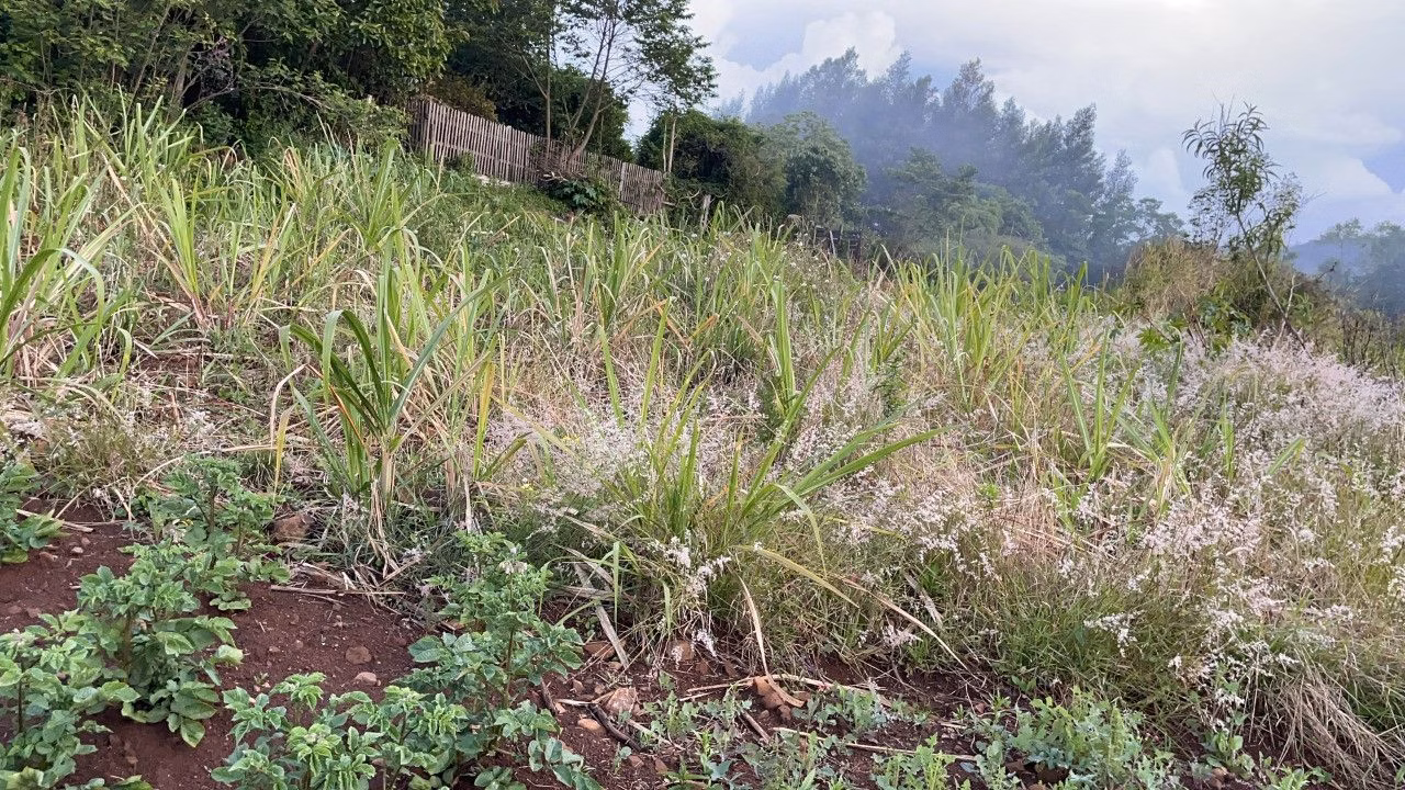 Plot of 3,478 m² in Caraá, RS, Brazil