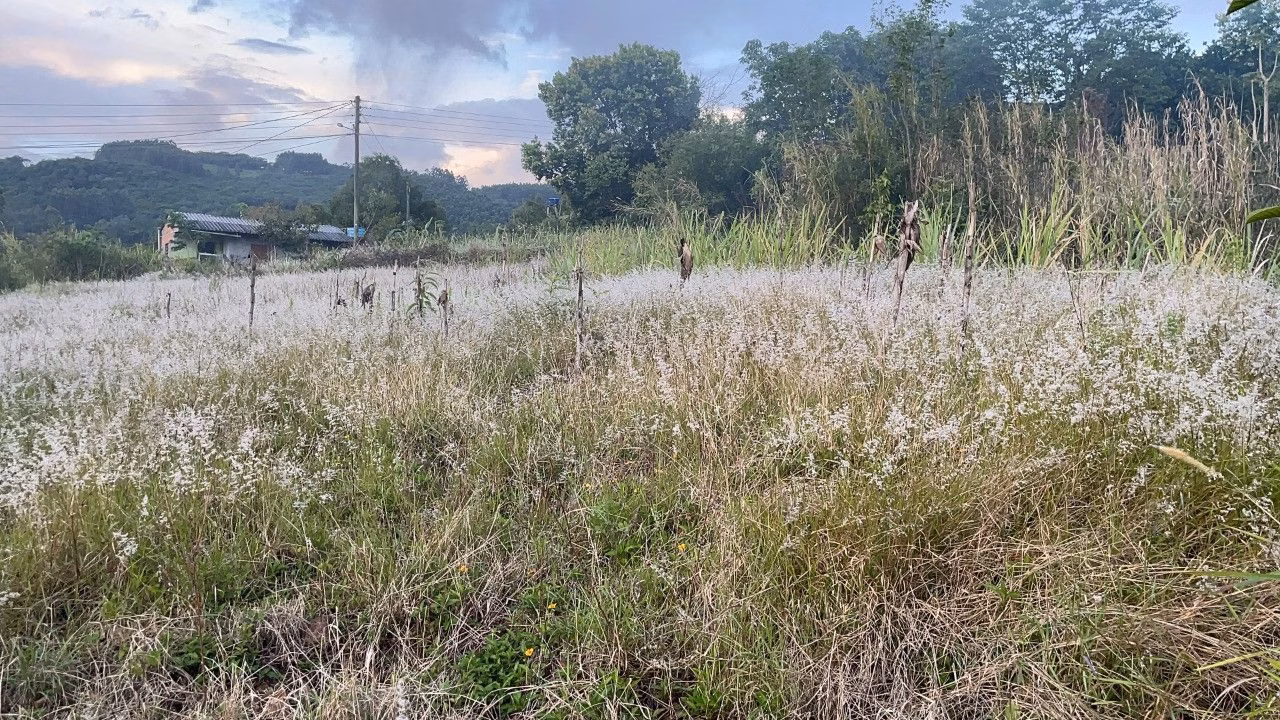 Plot of 3,478 m² in Caraá, RS, Brazil