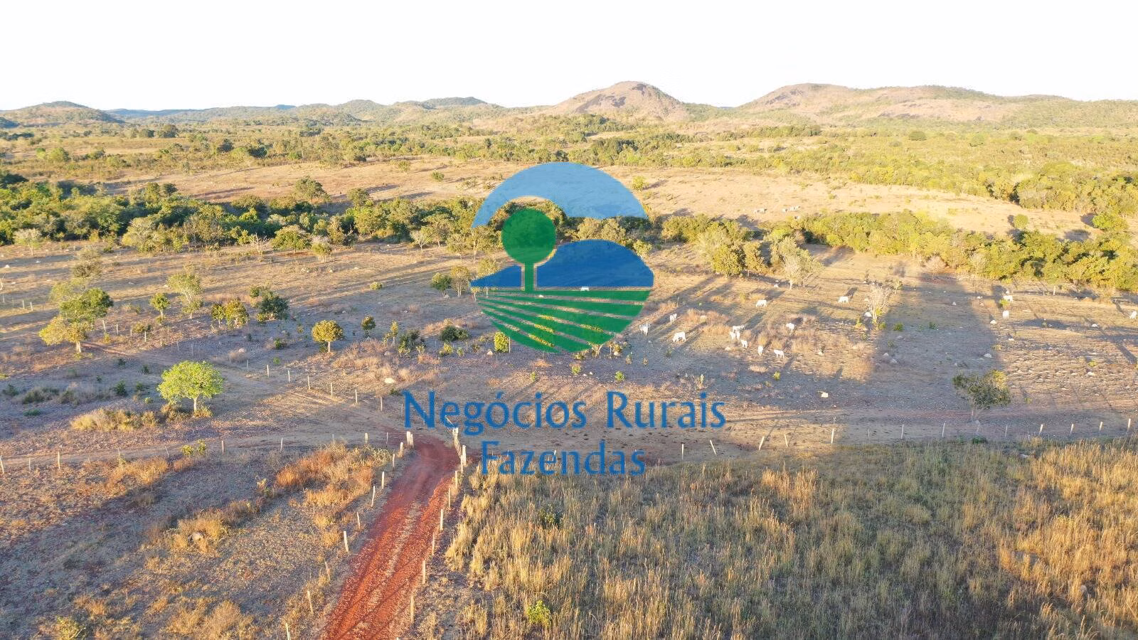 Fazenda de 1.645 ha em Crixás, GO
