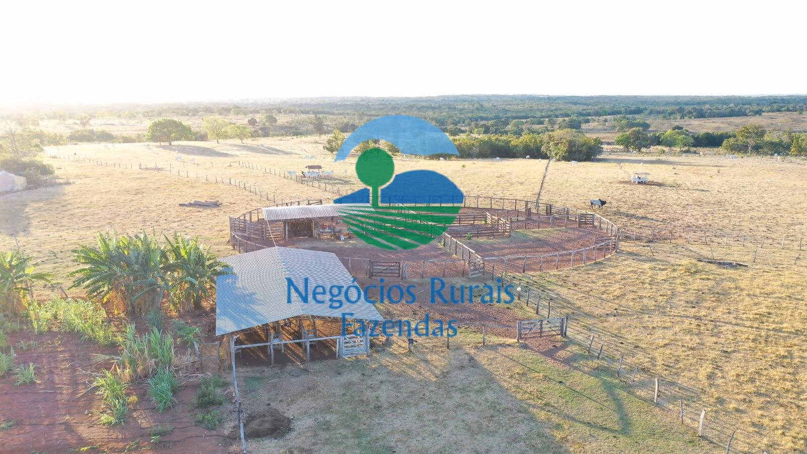 Fazenda de 1.645 ha em Crixás, GO