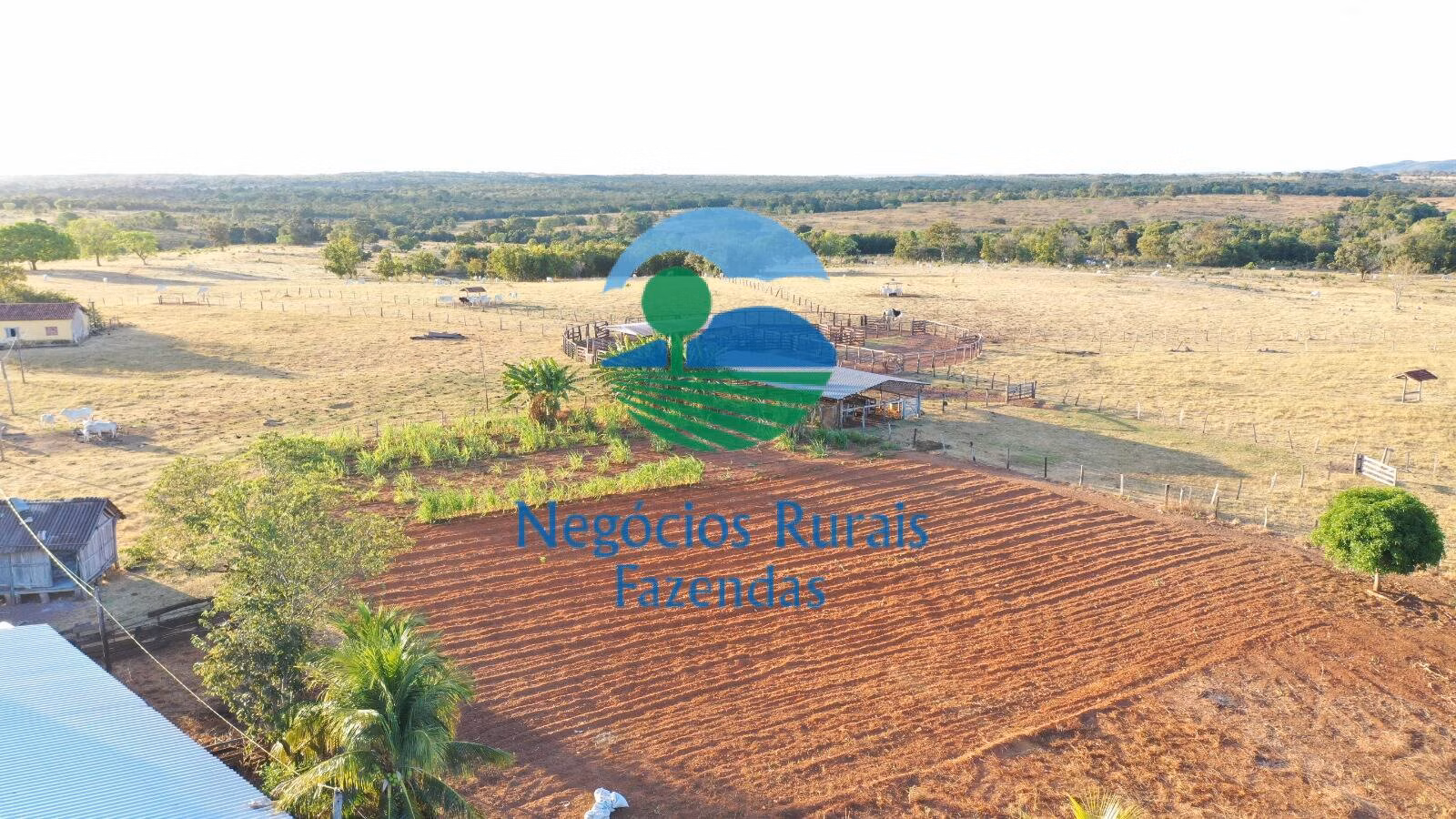 Fazenda de 1.645 ha em Crixás, GO