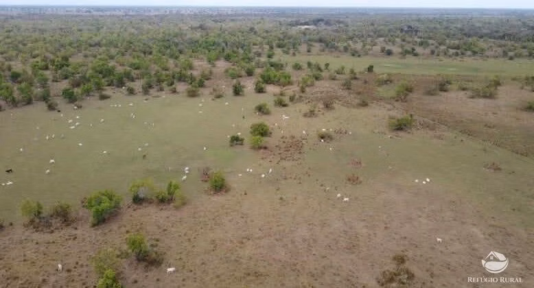 Farm of 2,360 acres in Corumbá, MS, Brazil