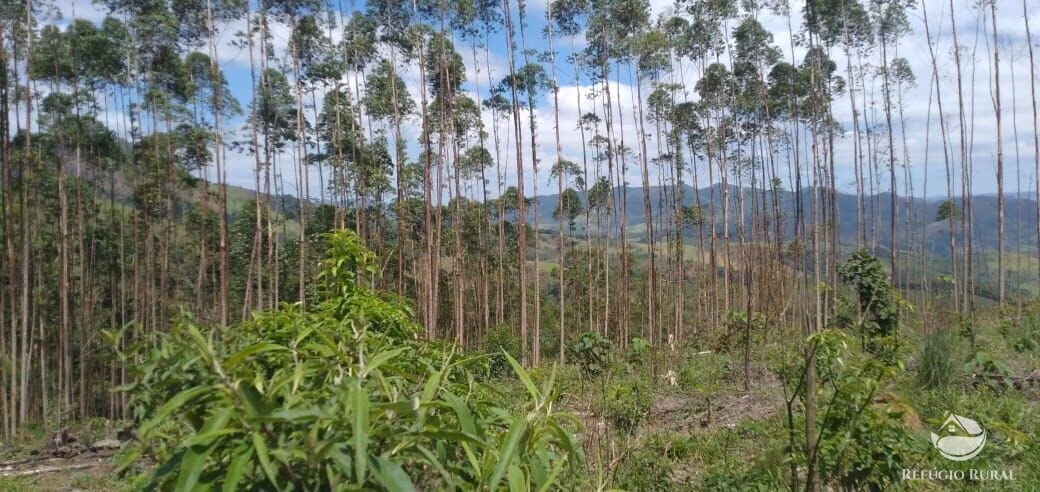Terreno de 2 ha em Monteiro Lobato, SP