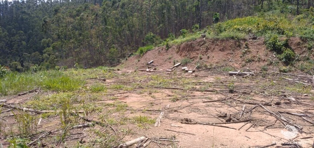 Terreno de 2 ha em Monteiro Lobato, SP