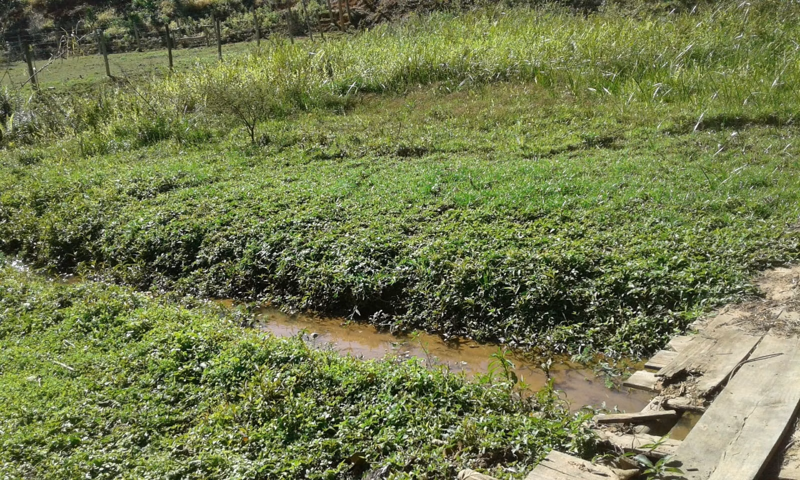 Chácara de 2 ha em São José dos Campos, SP