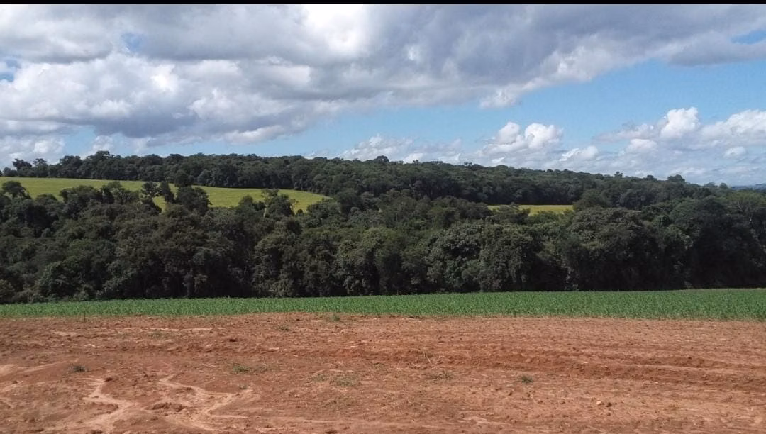Fazenda de 368 ha em Itararé, SP