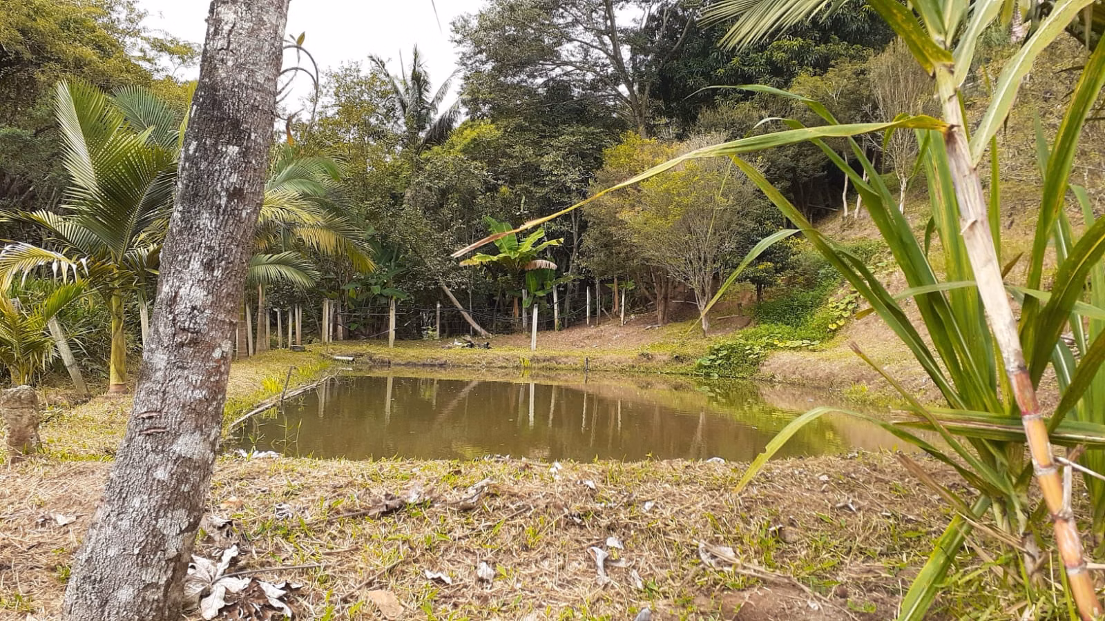 Chácara de 2.000 m² em São José dos Campos, SP