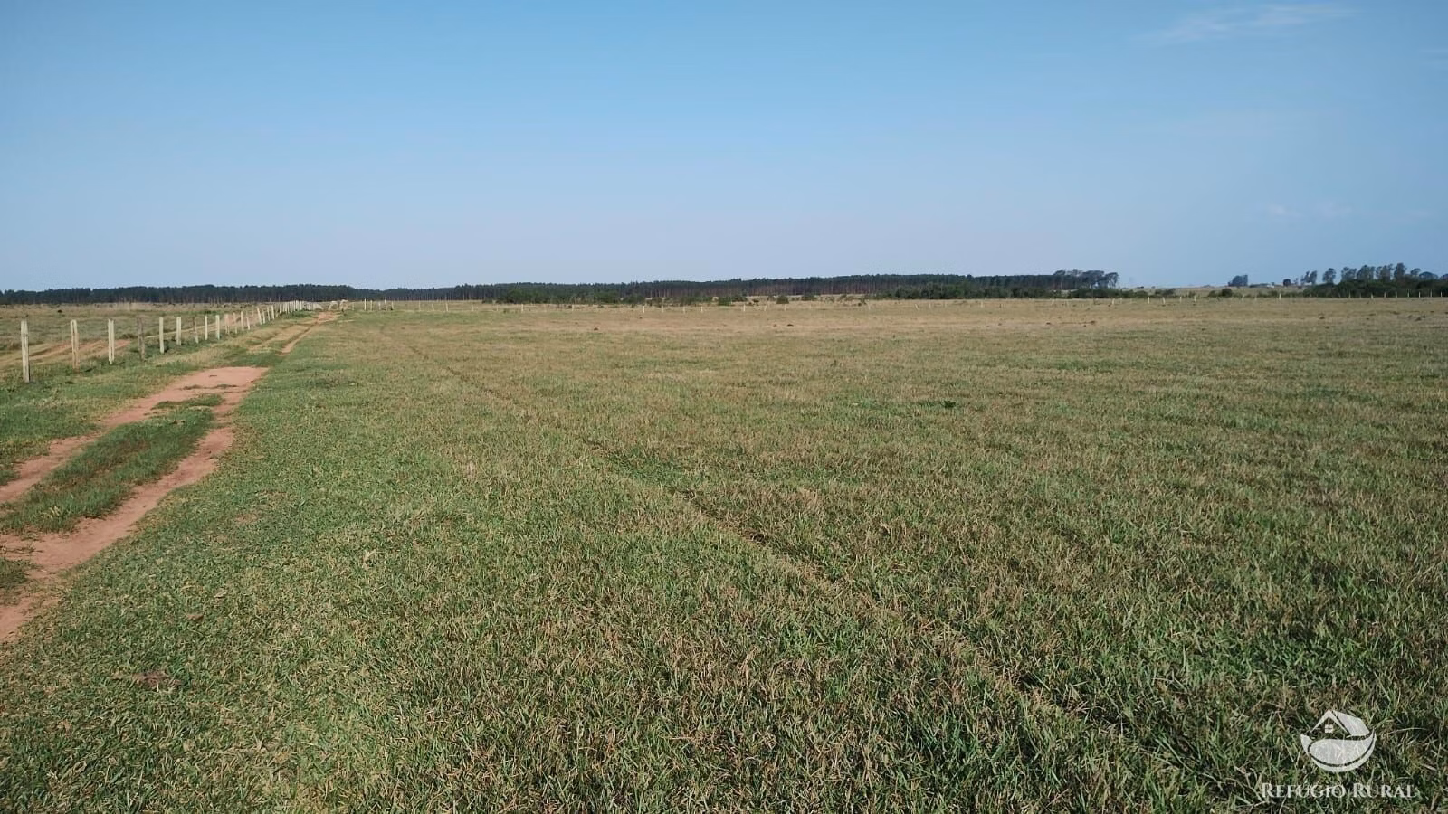 Fazenda de 242 ha em Naviraí, MS