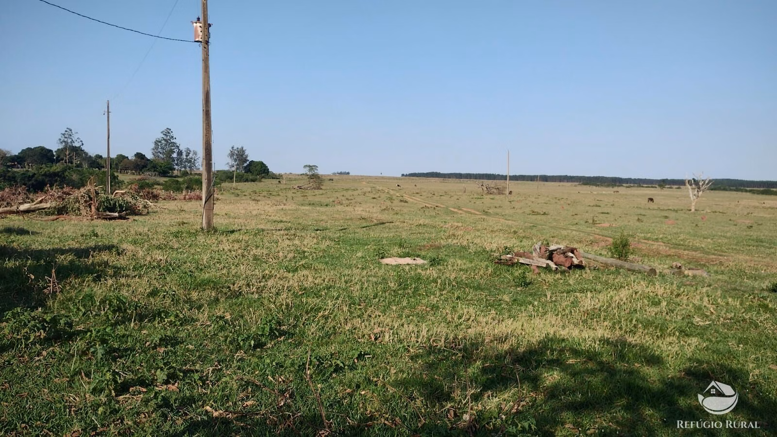 Fazenda de 242 ha em Naviraí, MS