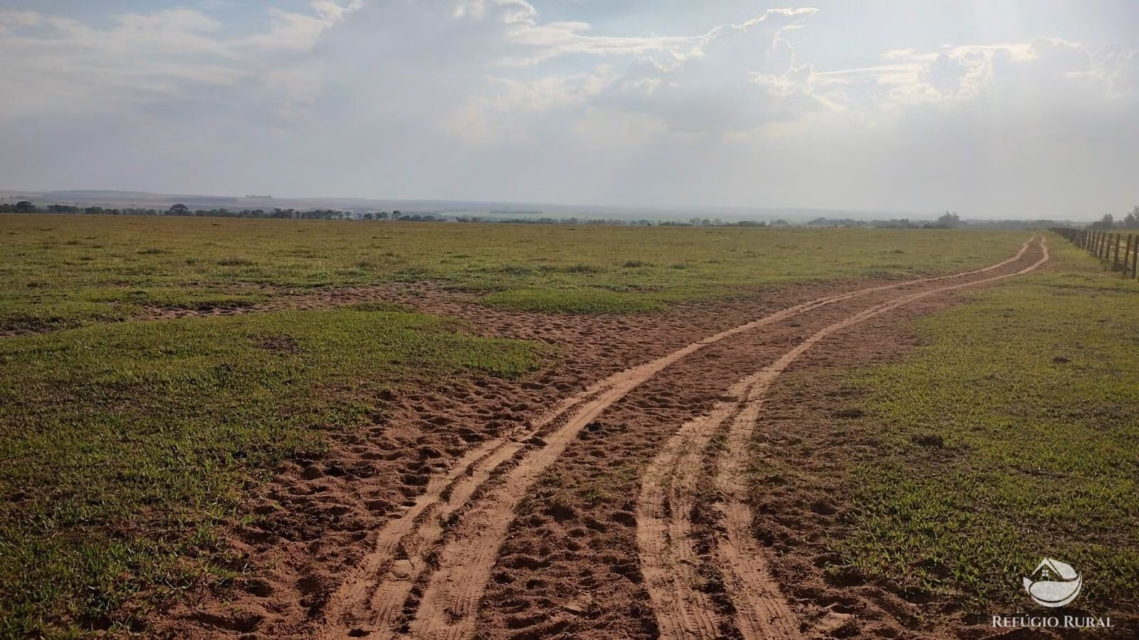 Fazenda de 242 ha em Naviraí, MS