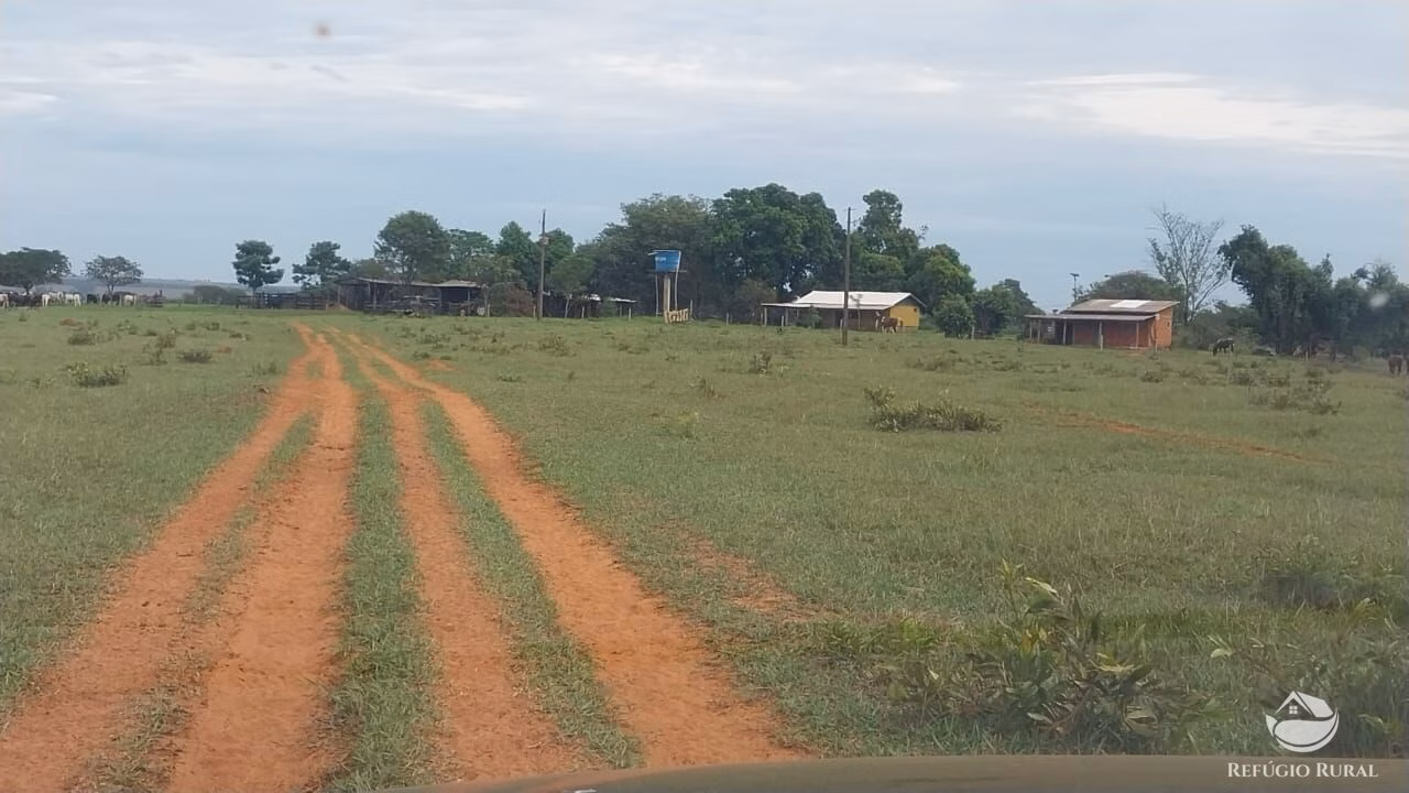 Fazenda de 242 ha em Naviraí, MS