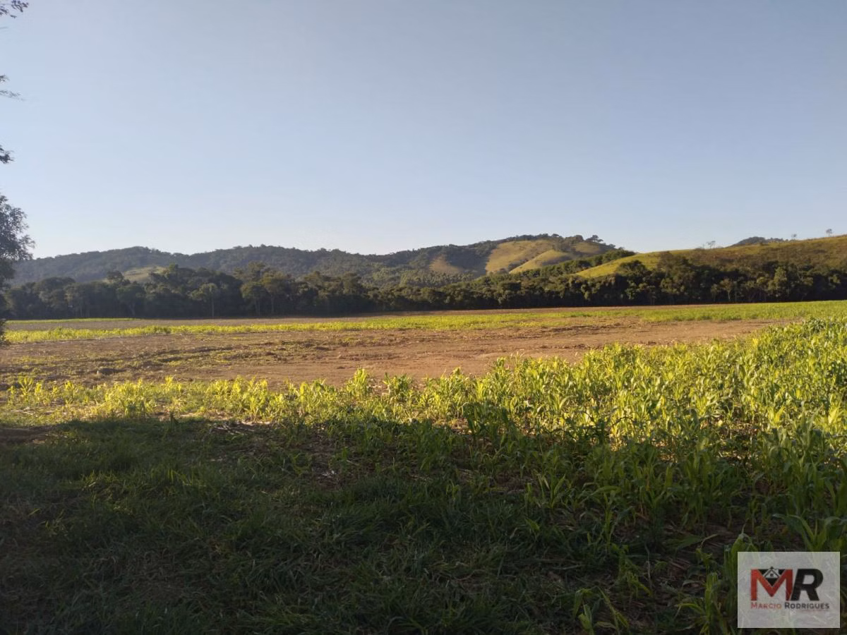 Fazenda de 178 ha em Carmo de Minas, MG