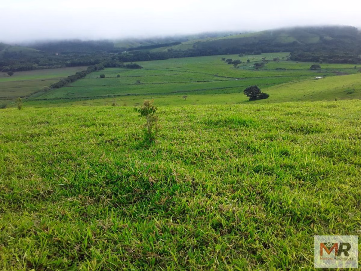 Fazenda de 178 ha em Carmo de Minas, MG