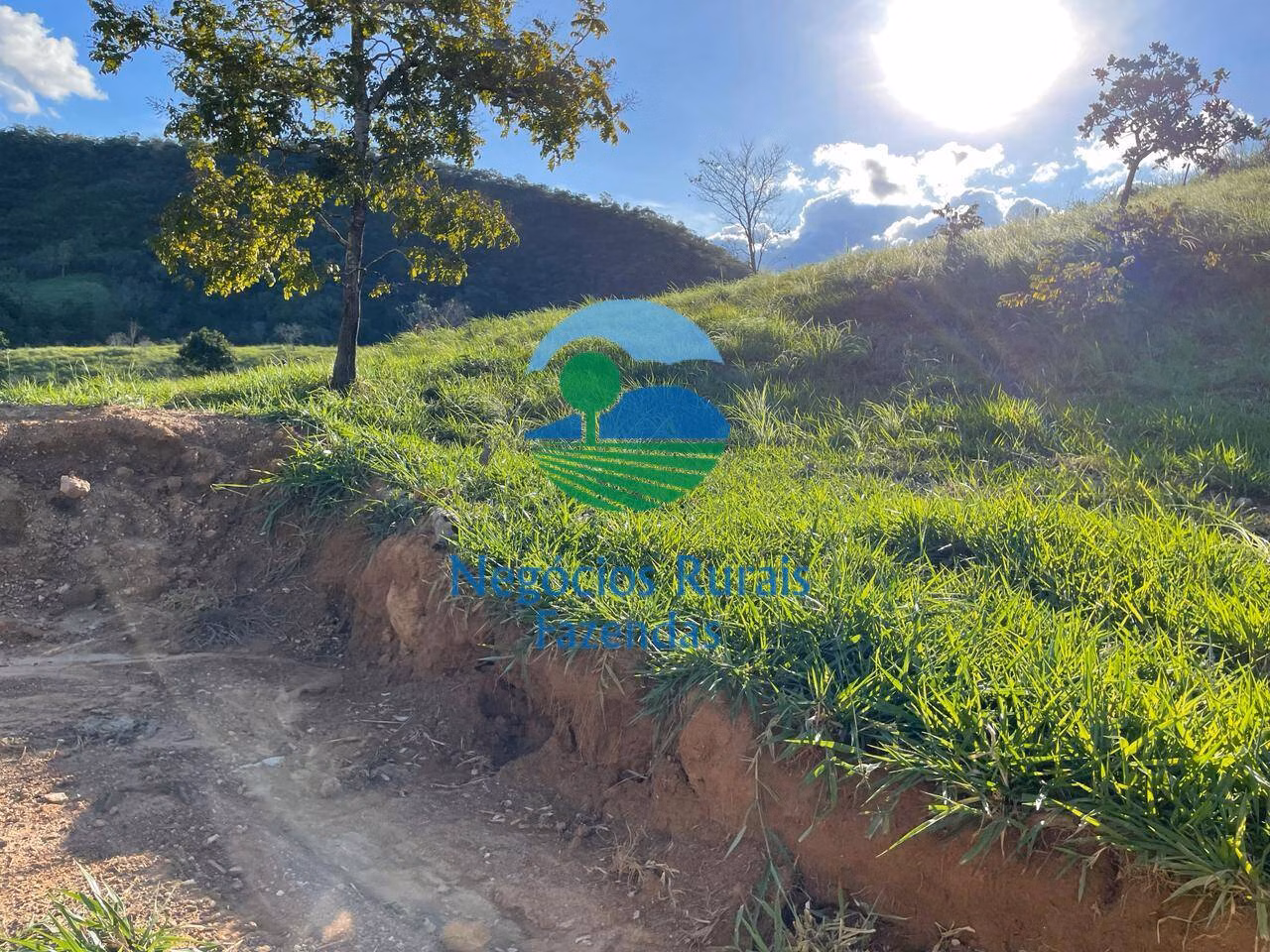 Farm of 358 acres in Campinaçu, GO, Brazil
