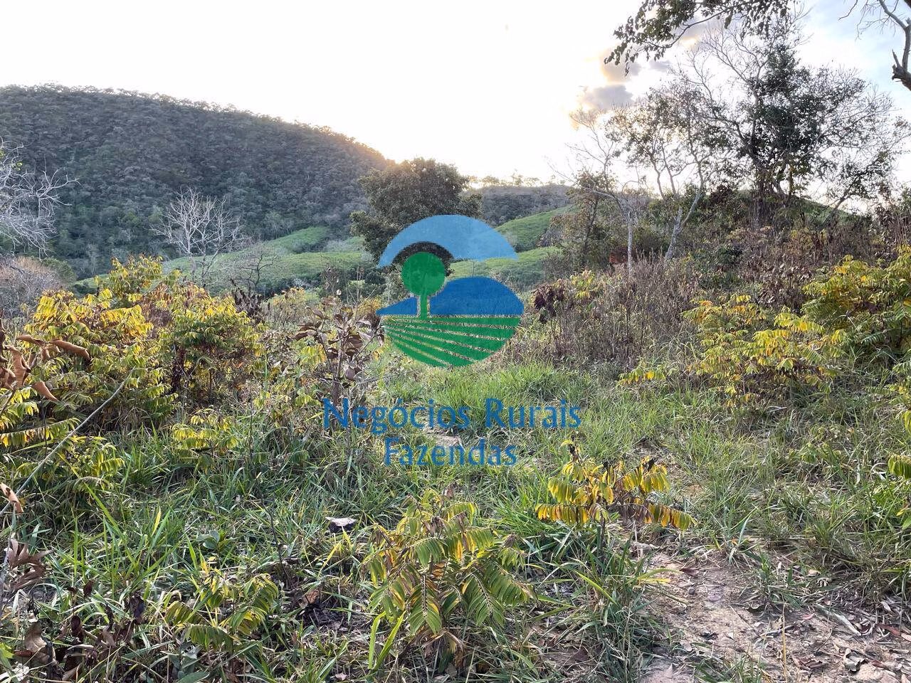 Fazenda de 145 ha em Campinaçu, GO