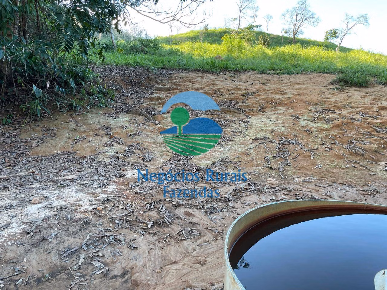 Fazenda de 145 ha em Campinaçu, GO