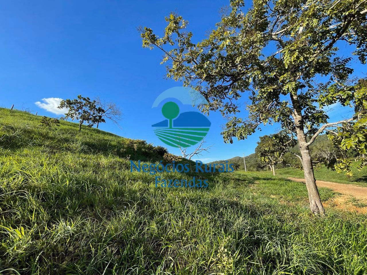 Fazenda de 145 ha em Campinaçu, GO
