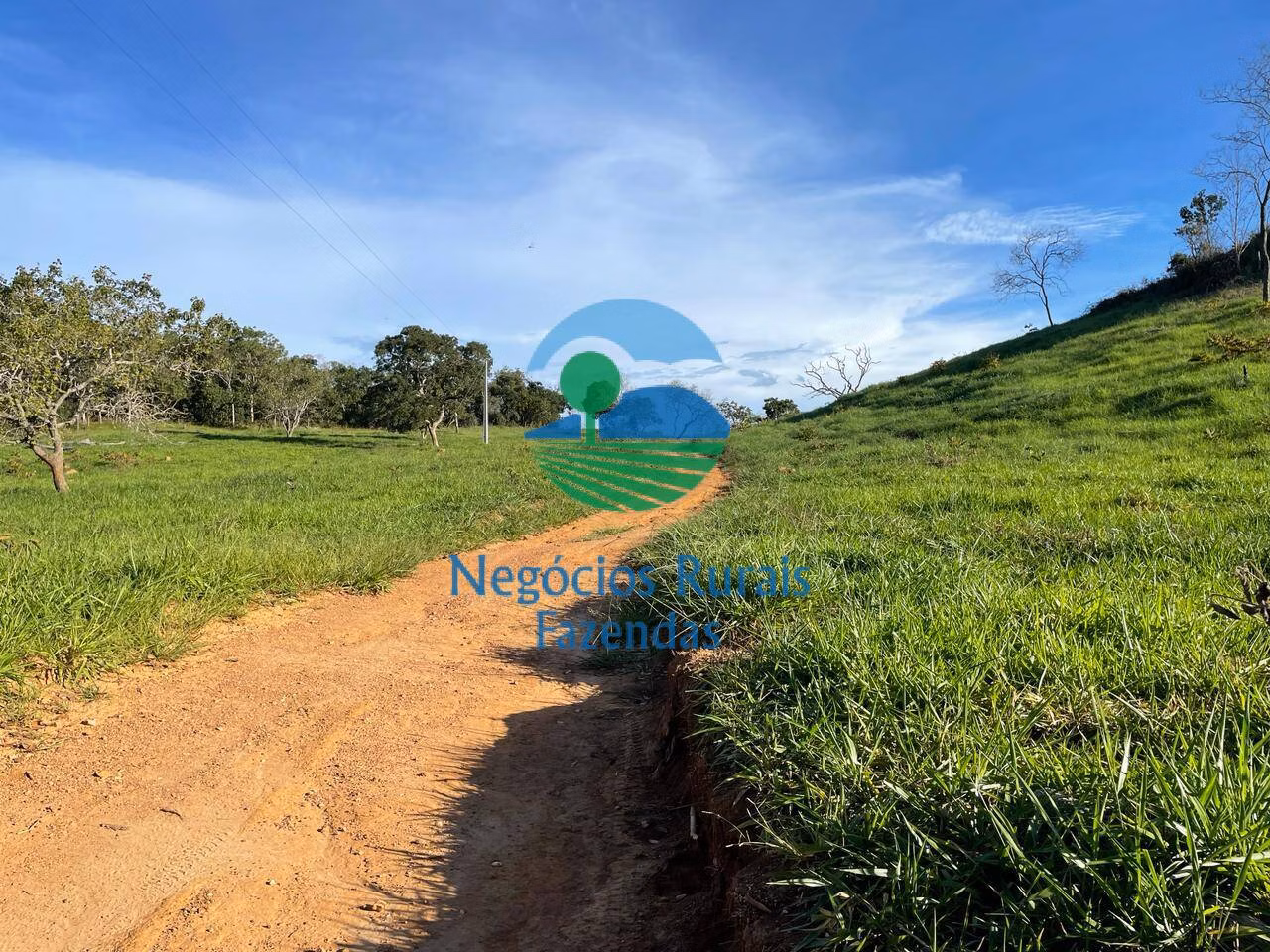 Fazenda de 145 ha em Campinaçu, GO
