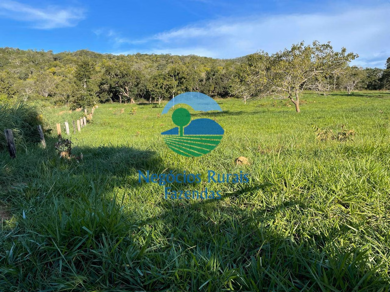 Fazenda de 145 ha em Campinaçu, GO