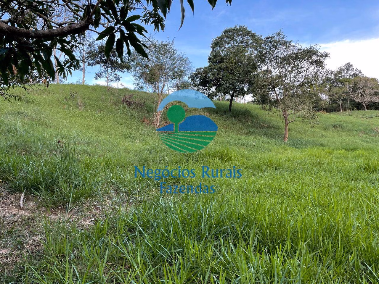 Fazenda de 145 ha em Campinaçu, GO