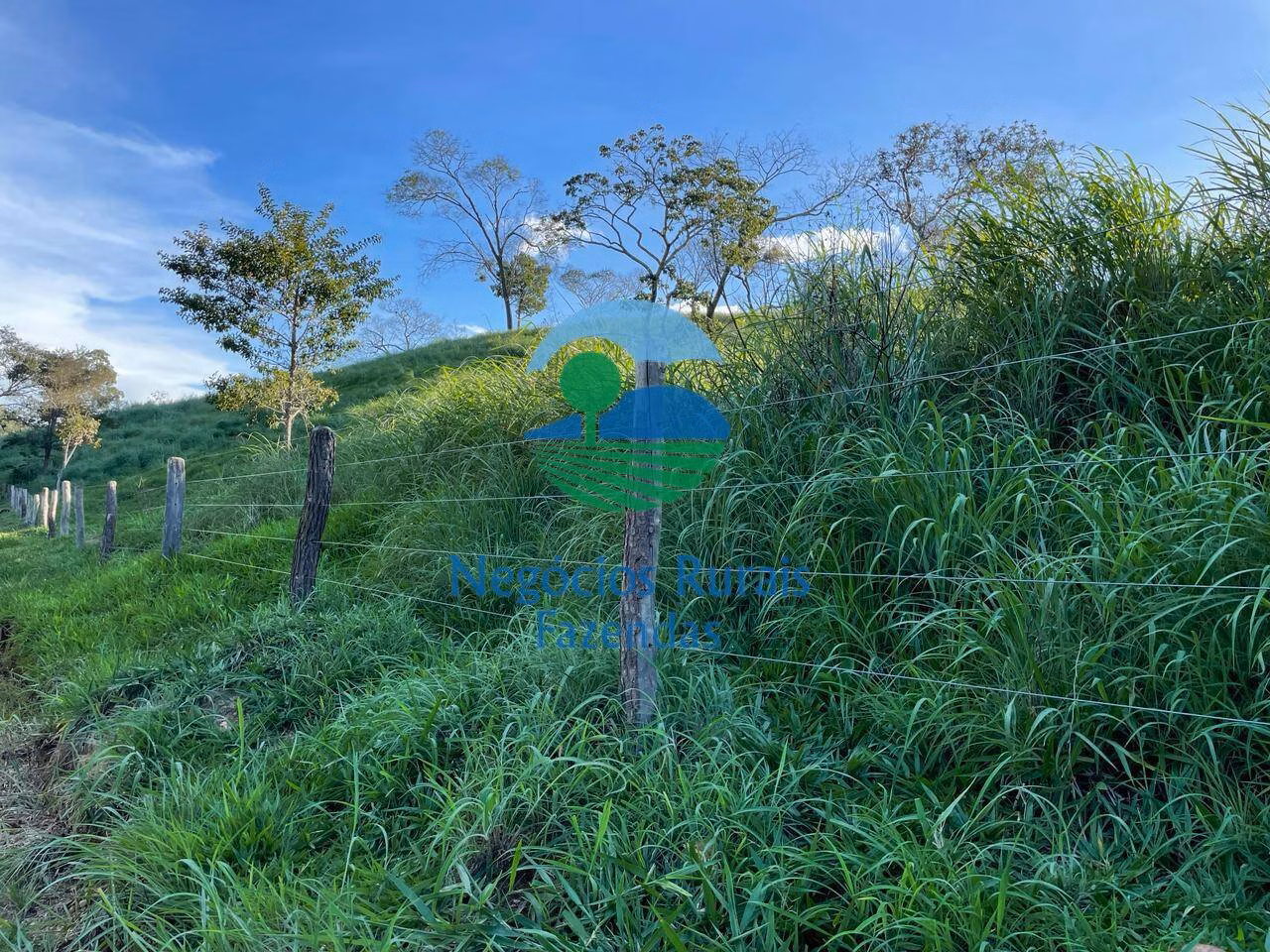 Fazenda de 145 ha em Campinaçu, GO