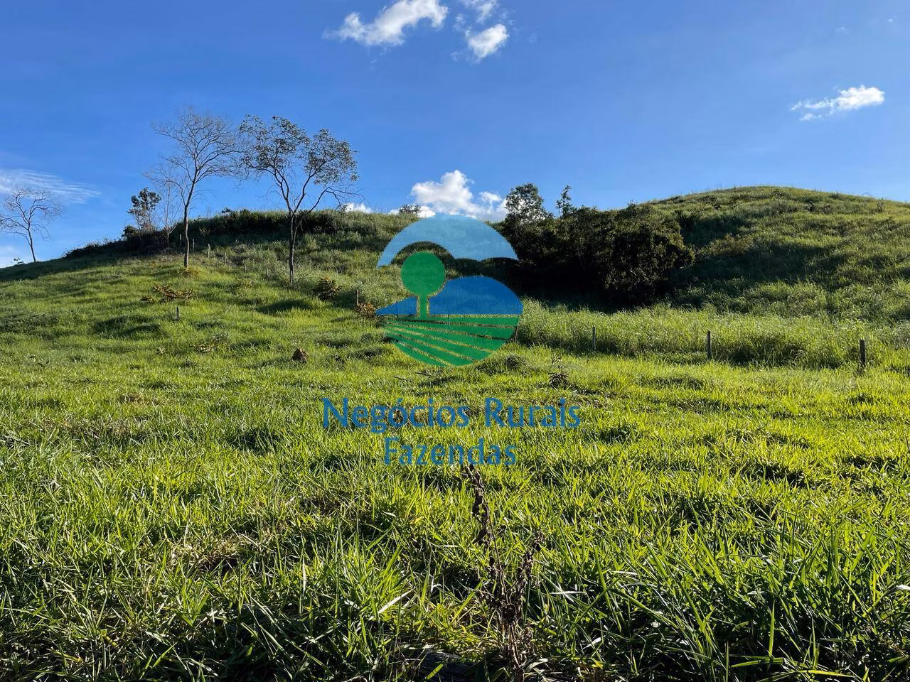 Farm of 358 acres in Campinaçu, GO, Brazil