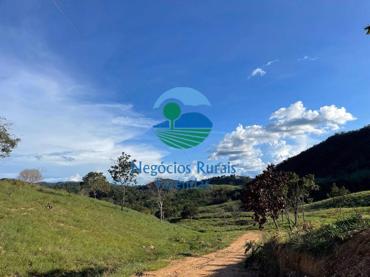 Fazenda de 145 ha em Campinaçu, GO