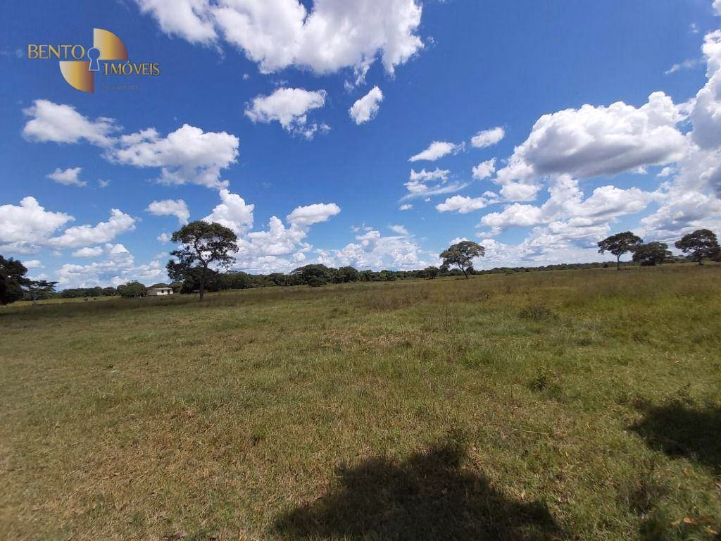 Farm of 9,390 acres in Poconé, MT, Brazil