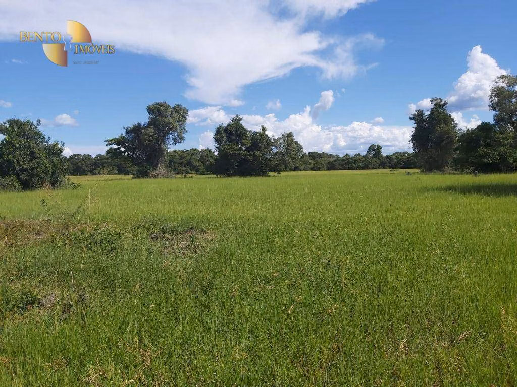 Farm of 9,390 acres in Poconé, MT, Brazil
