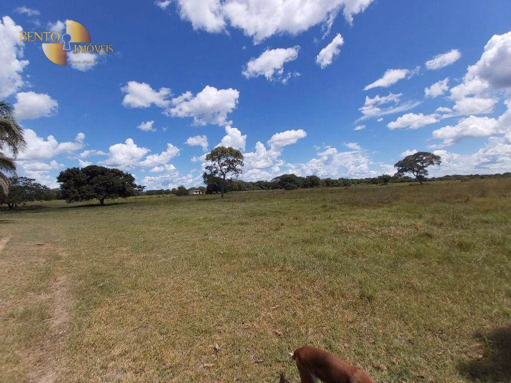 Farm of 9,390 acres in Poconé, MT, Brazil