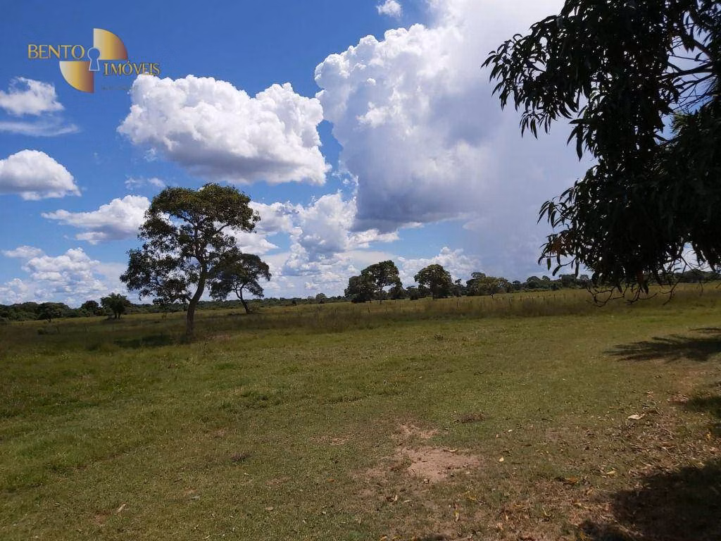 Farm of 9,390 acres in Poconé, MT, Brazil