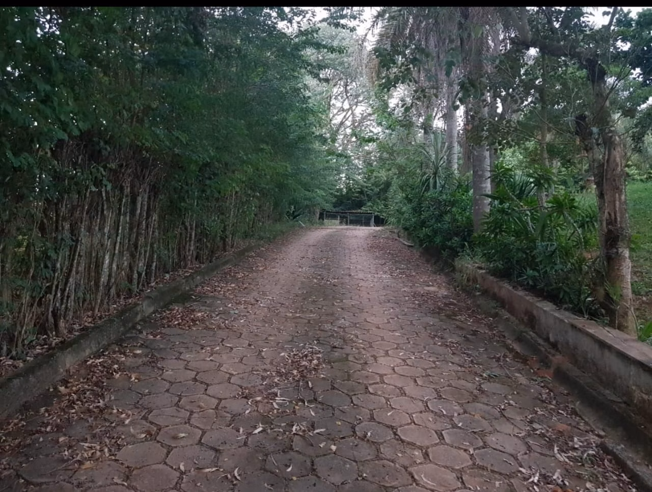 Chácara de 6.000 m² em Atibaia, SP