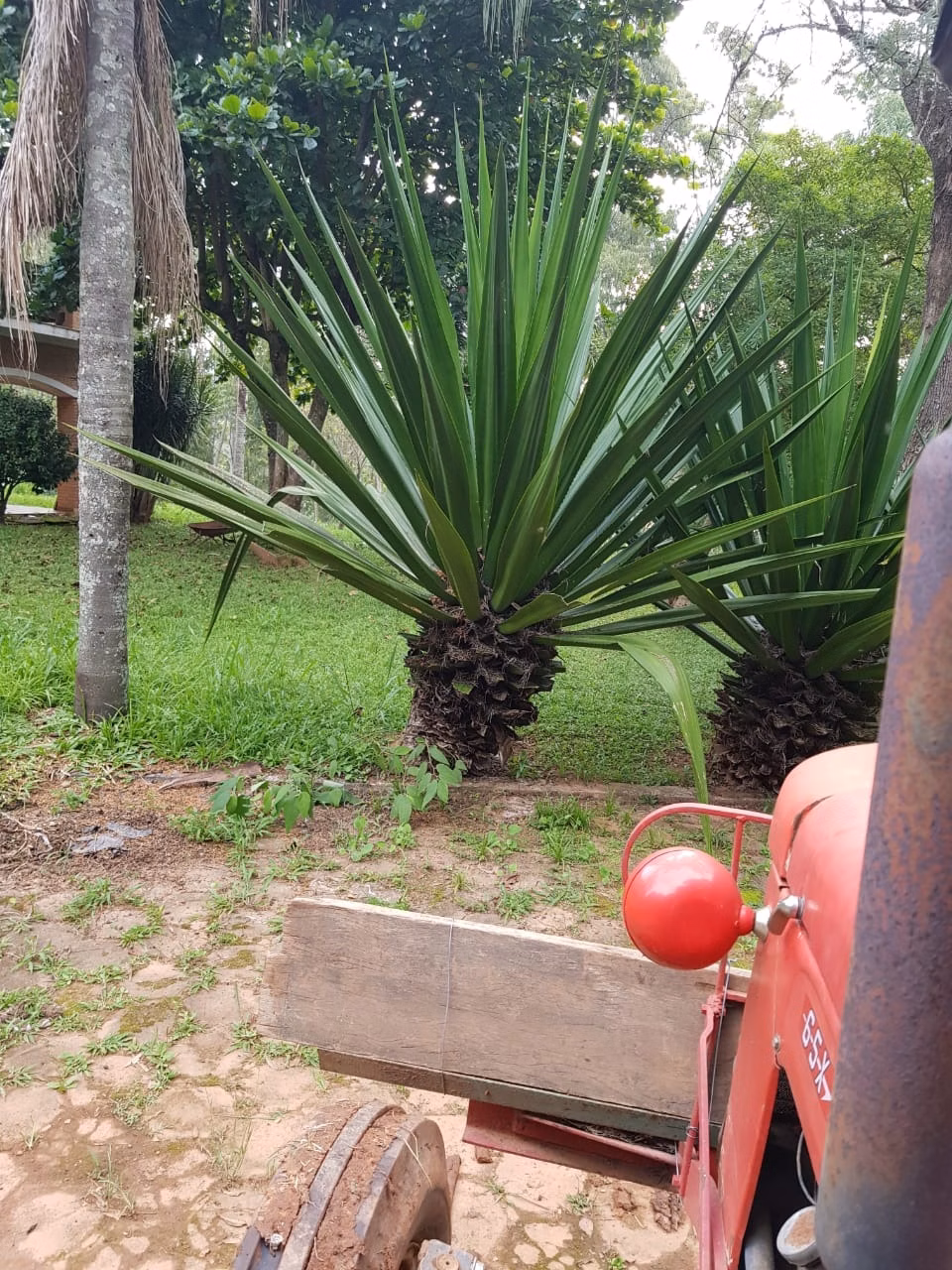Chácara de 6.000 m² em Atibaia, SP