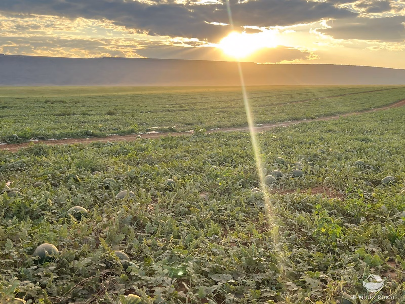 Fazenda de 2.580 ha em Corinto, MG