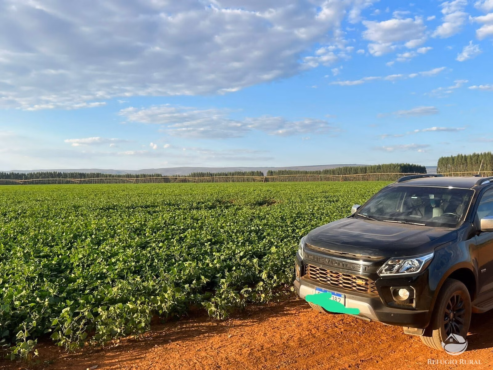 Farm of 6,375 acres in Corinto, MG, Brazil